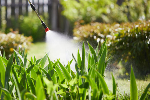 24/7 Emergency Mosquito Control experts in Tremont, PA
